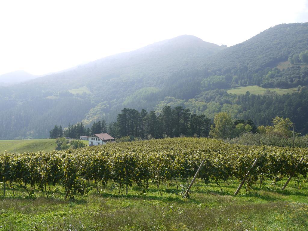 Erlete Goikoa -estamos En El Camino De Santiago -we Are On The Camino De Santiago Country house