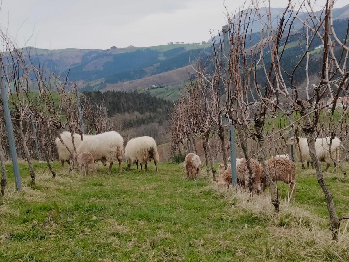 Séjour à la campagne Erlete Goikoa -estamos En El Camino De Santiago -we Are On The Camino De Santiago *