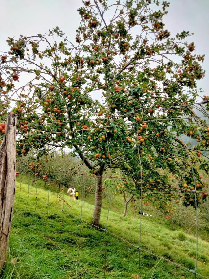 Séjour à la campagne Erlete Goikoa -estamos En El Camino De Santiago -we Are On The Camino De Santiago *