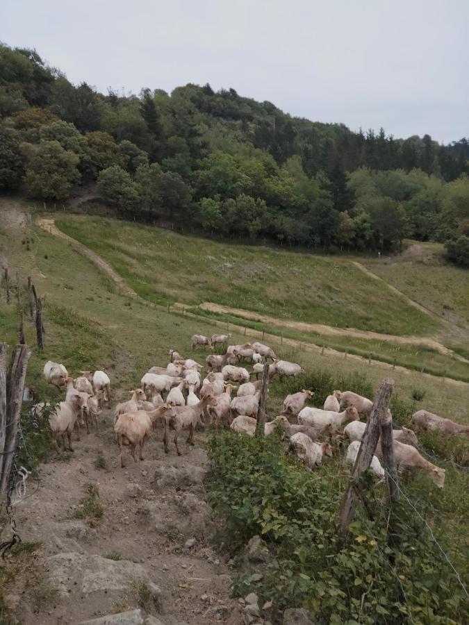 Erlete Goikoa -estamos En El Camino De Santiago -we Are On The Camino De Santiago
